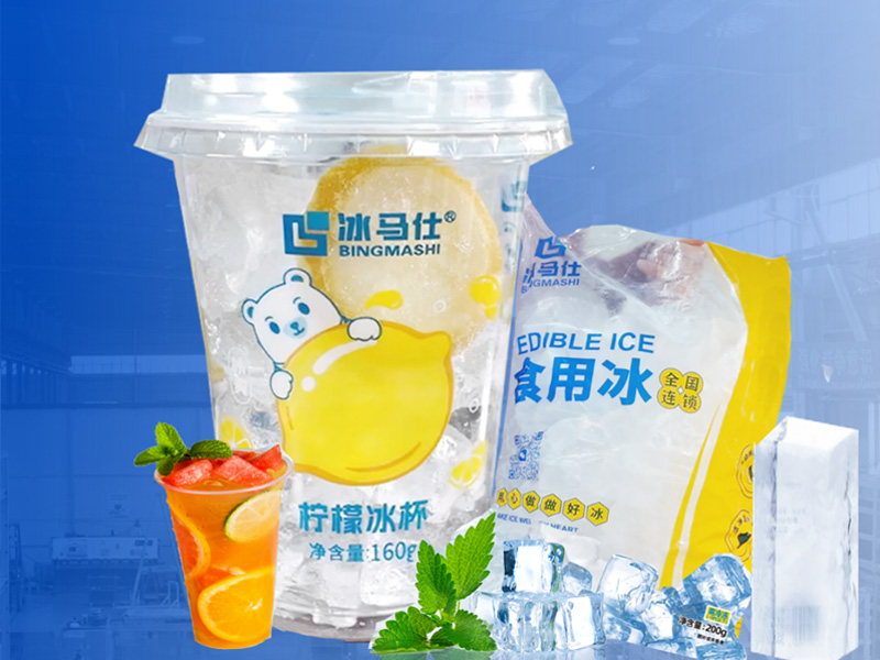 江苏冰马仕日产100吨大产能食用冰厂项目交付